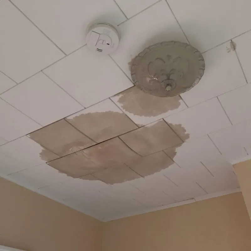 Ceiling Water Damage Repair in Rochester, PA