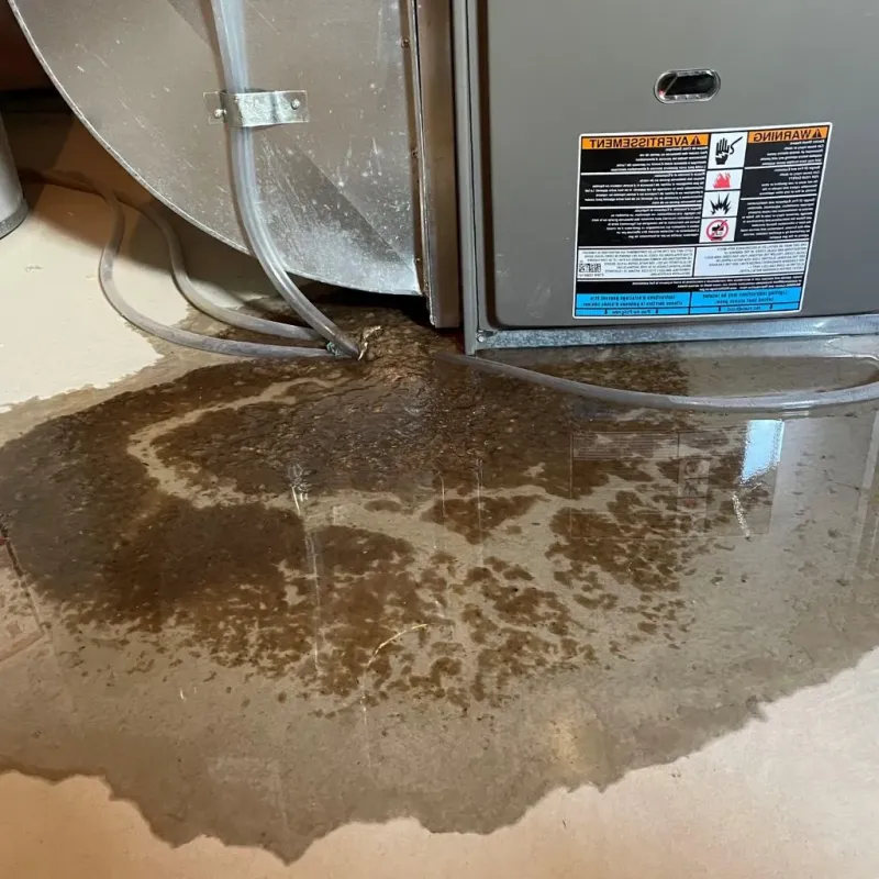 Pipe Burst and Leak Restoration in Rochester, PA