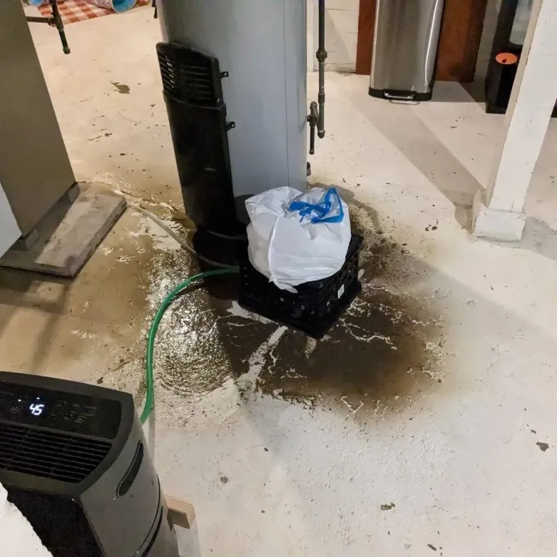 Sewage Backup Cleanup Service in Rochester, PA